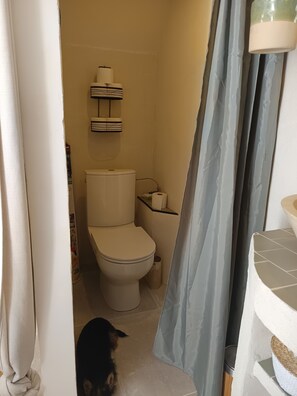 Bathroom - Separate bedroom with bathroom and toilet (Verfeil)