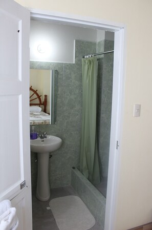 A bathroom with a shower, a sink, and a mirror.