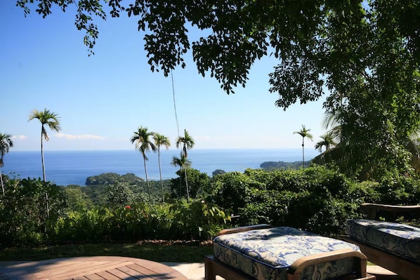 Un patio con vista al océano y palmeras.