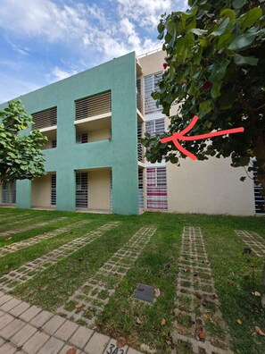Un edifici de diversos pisos amb façana plana, un pati amb gespa i un arbre amb una fletxa vermella que hi apunta.