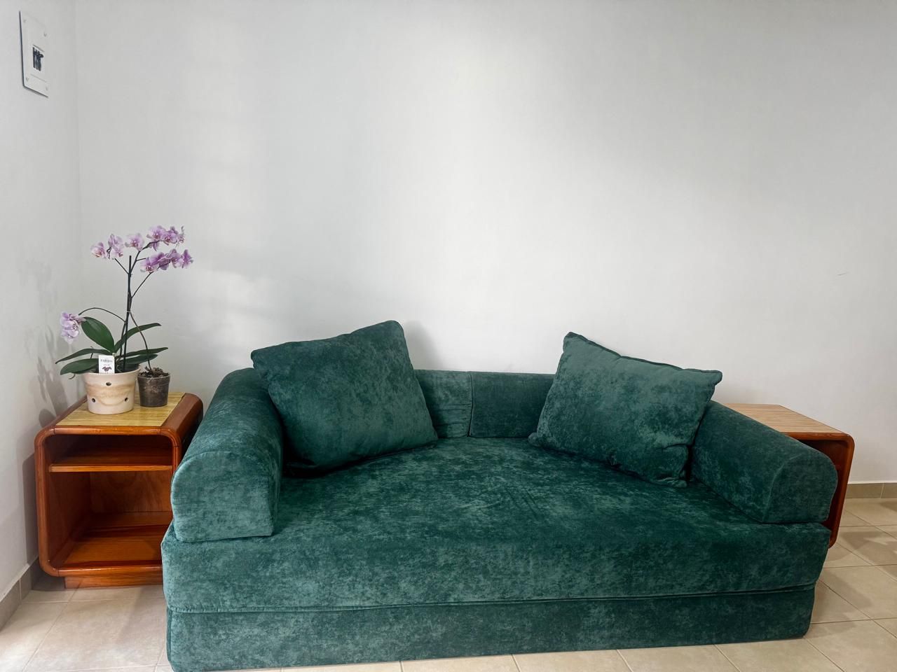 A green velvet sofa with two cushions, a wooden side table with a potted plant, and a white wall.