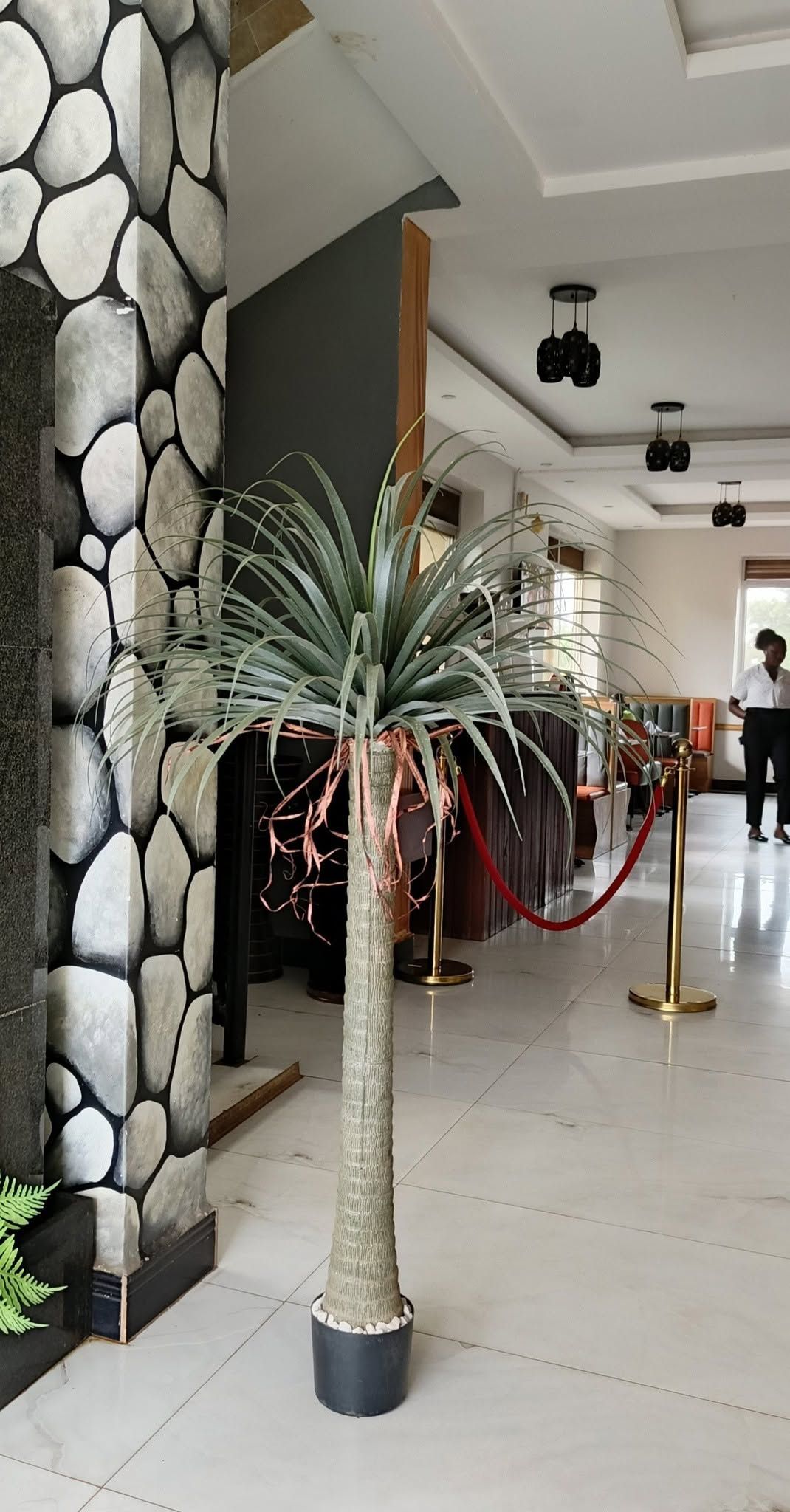 A lobby area with a stone wall, a potted palm plant, a reception desk, and a red rope barrier.