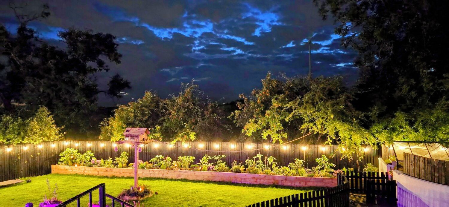 A well-lit garden at night with a wooden fence, a birdhouse, and string lights.