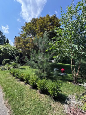 A well-maintained garden with various shrubs and a small tree, a red barbecue grill, and a grassy lawn. - Charming 3-bedroom house in peaceful Monson (Monson)