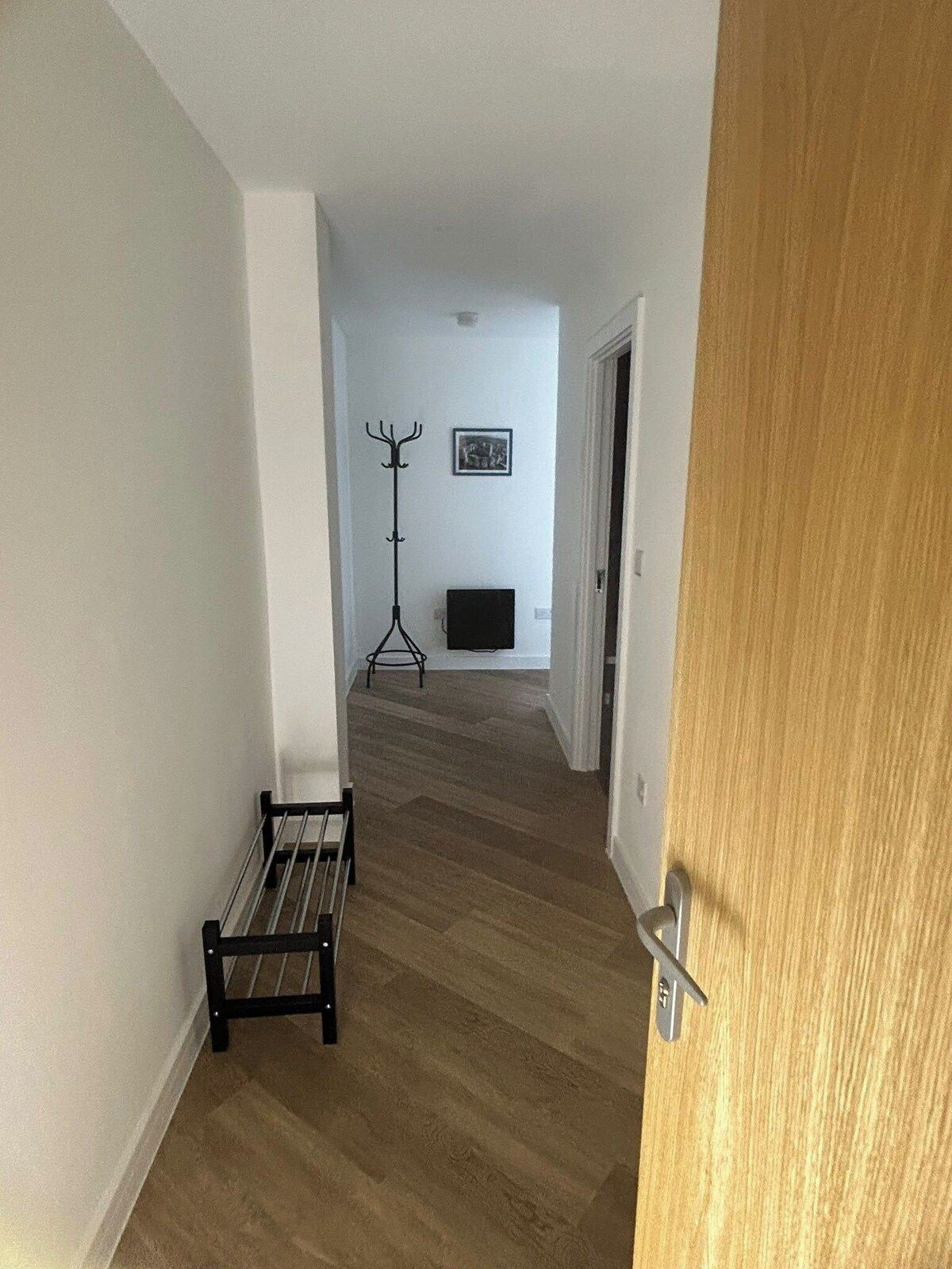 A hallway with a coat rack, a radiator, and a framed picture on the wall.