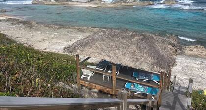 Bahama Dreamin' Ocean Front Villa 1/1