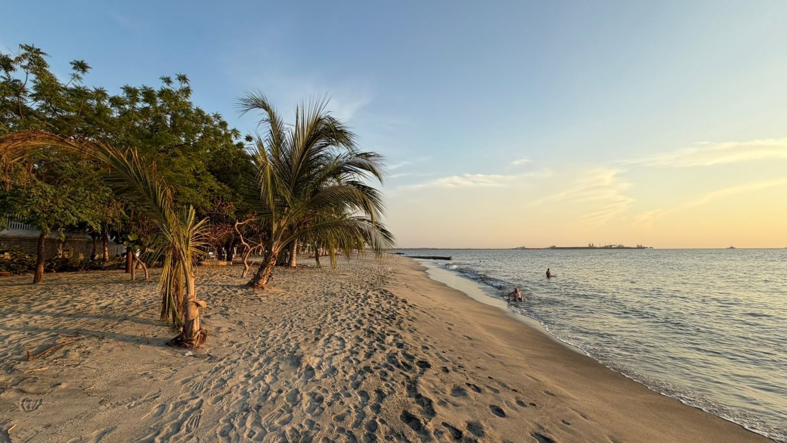 A beach with sand, palm trees, and a calm sea.