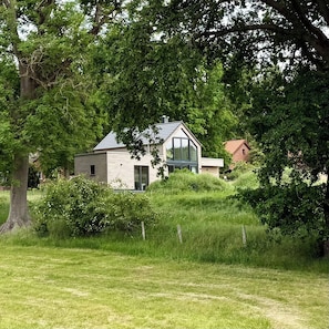 Et moderne hus med et stort glasvindue, omgivet af frodigt grønt og et træ.