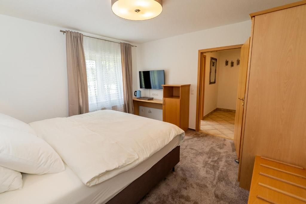 Un dormitorio con cama, televisión, escritorio y armario.