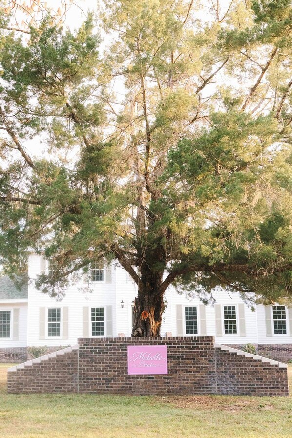 A large tree in front of a white building with a brick wall and a pink sign.