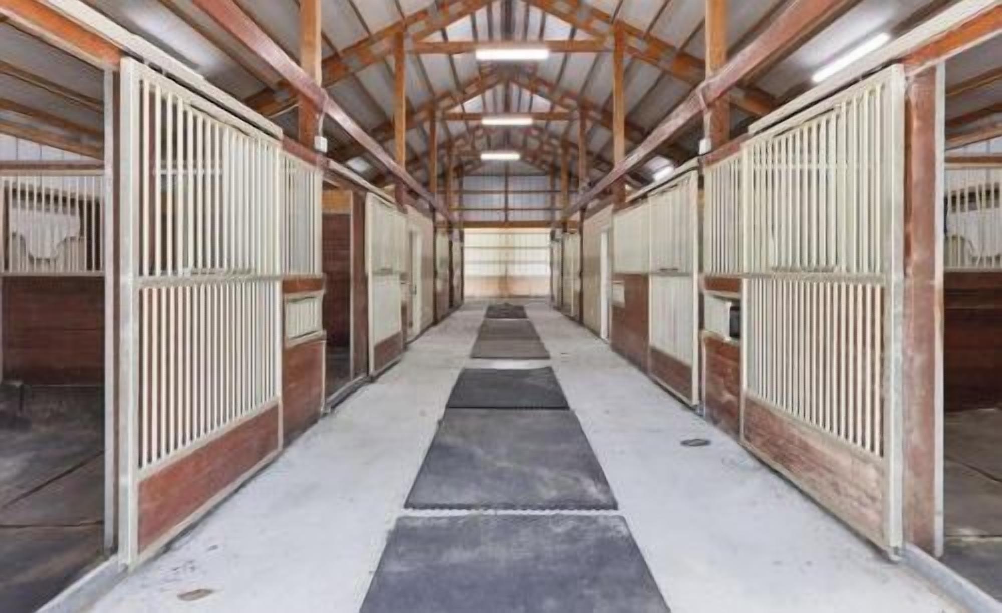 Bright, spacious horse barn with tidy stalls and a wide central aisle