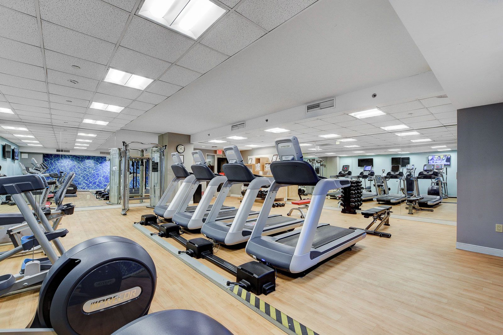 A gym with treadmills, elliptical machines, and weightlifting equipment.