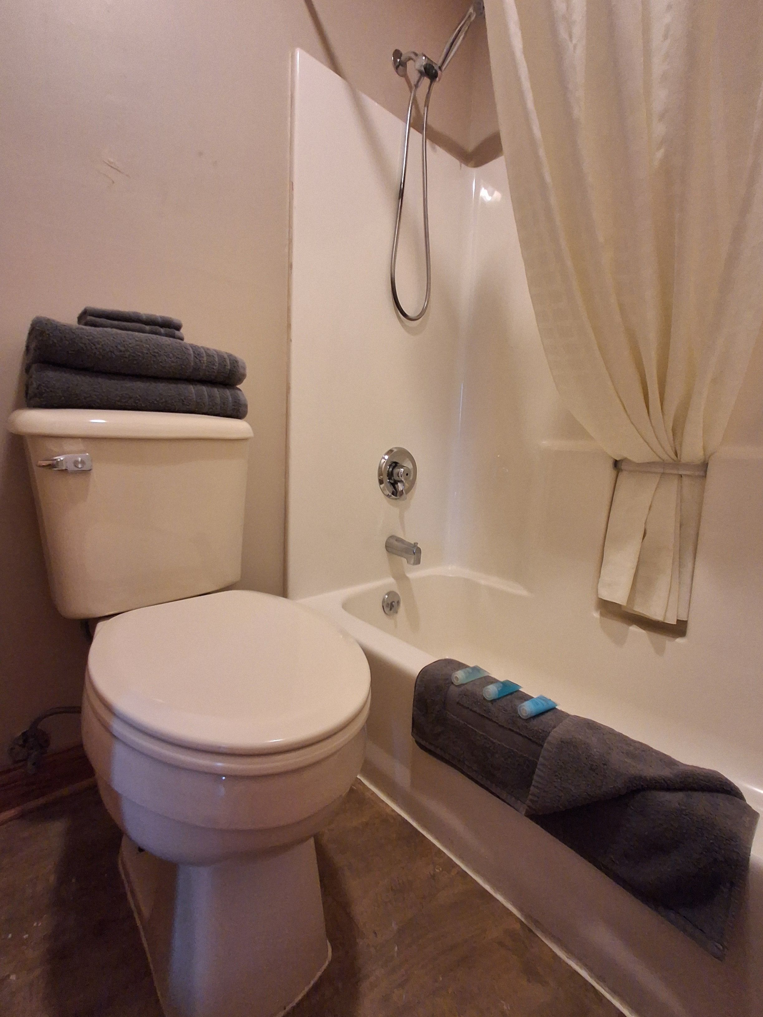 A bathroom with a toilet, a bathtub, and a shower.