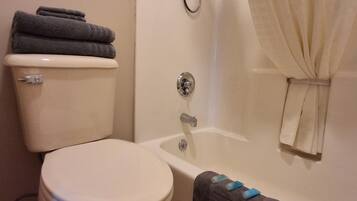 A bathroom with a toilet, a bathtub, and a shower.
