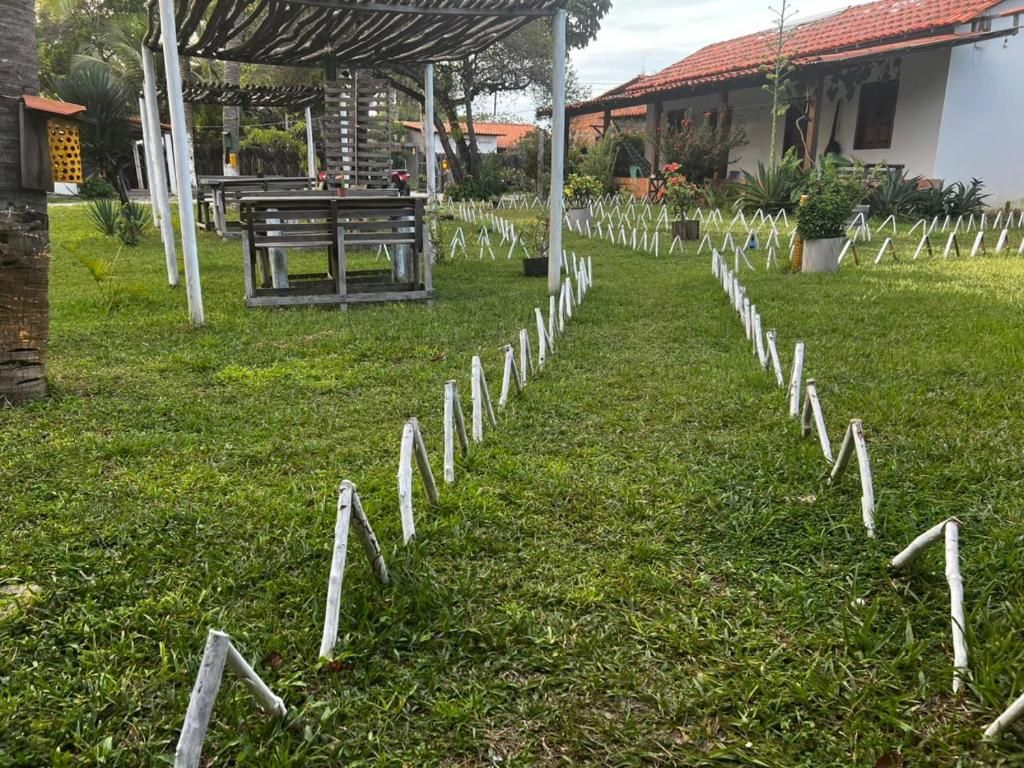 Un espacio cubierto de césped con un banco de madera y una pérgola.