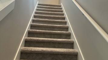 A carpeted staircase with a handrail, leading to a landing with a framed picture.