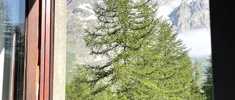 A window with a view of a mountain range and a coniferous tree.