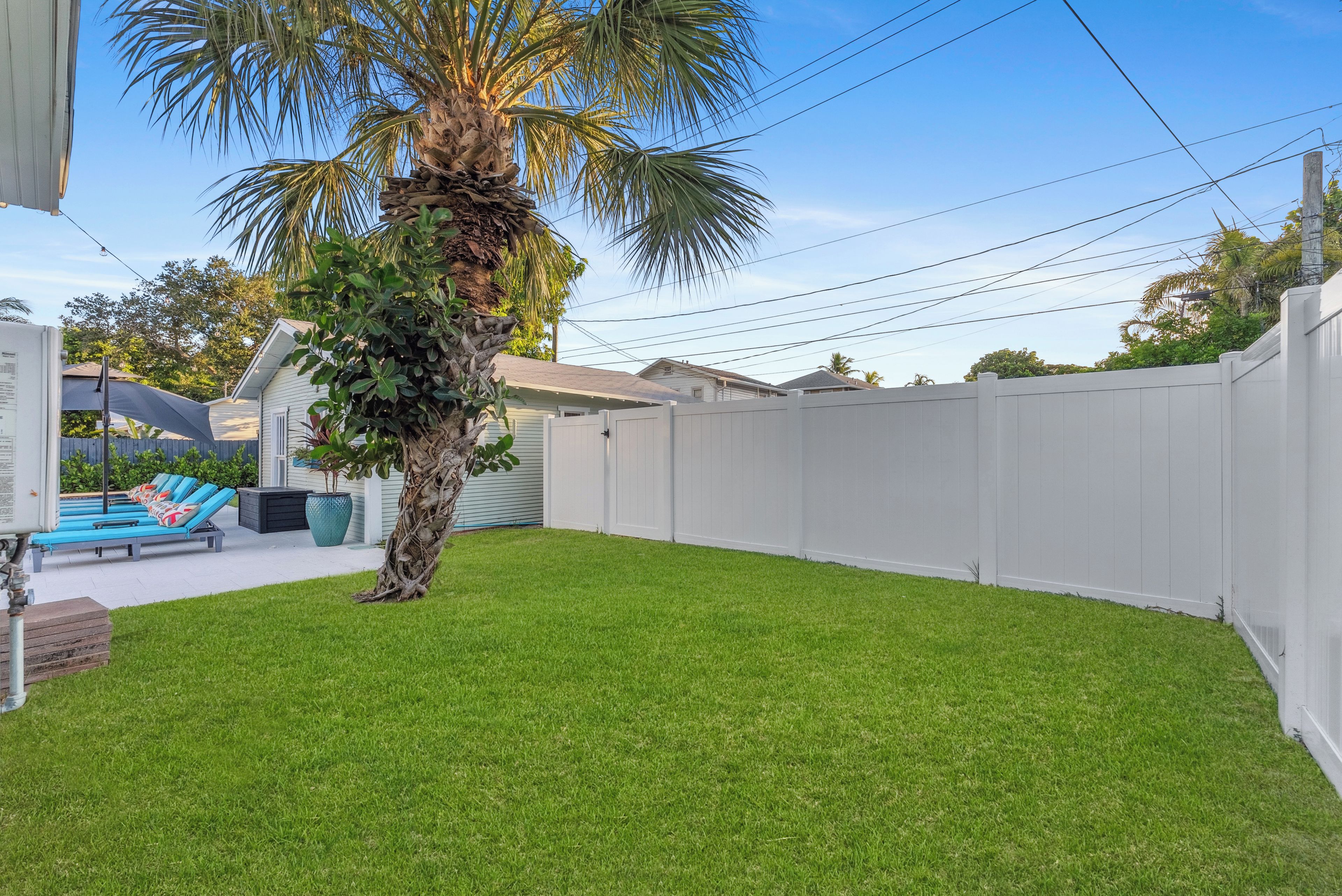 A backyard with a palm tree, a white fence, and a pool area with lounge chairs.