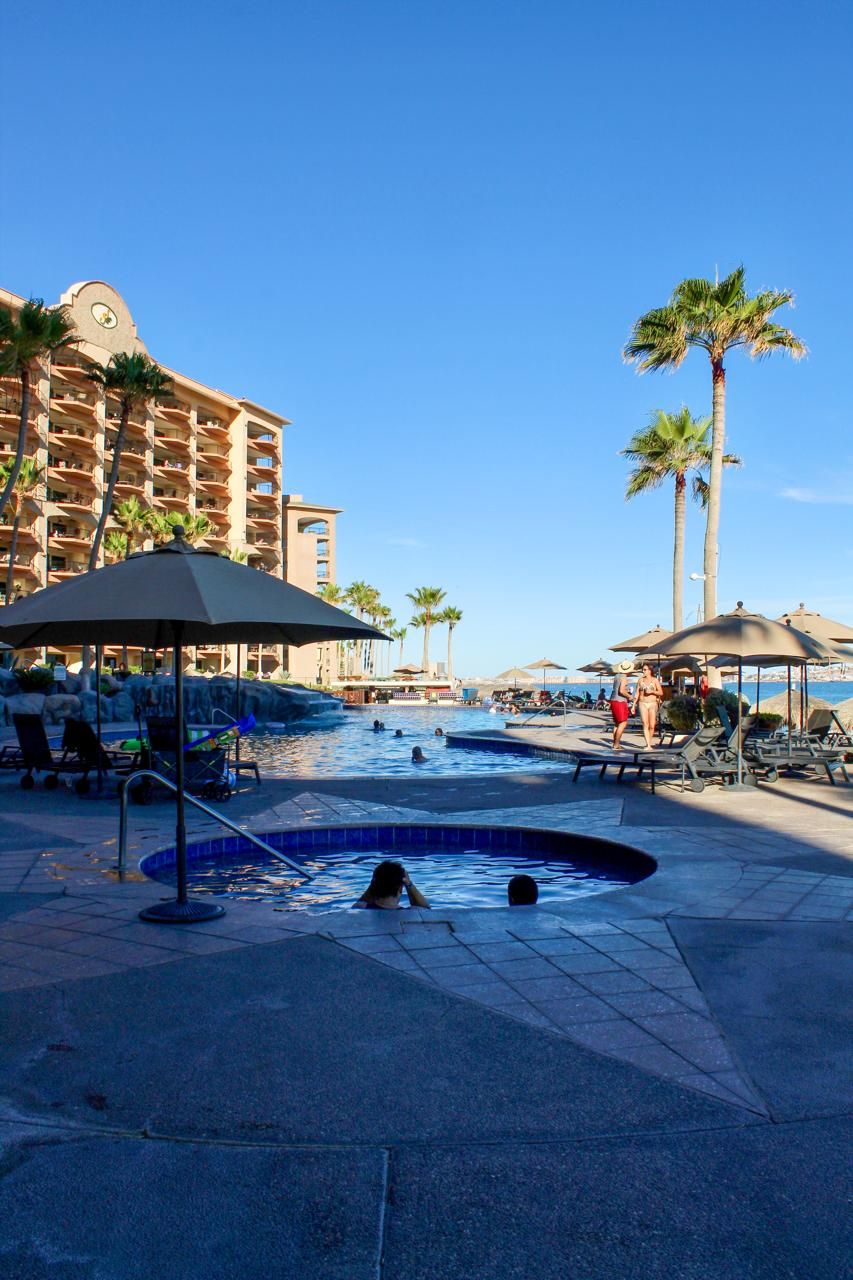 A hotel pool area with lounge chairs, umbrellas, and palm trees.