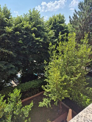 A garden area with various trees and shrubs, a wooden fence, and a paved walkway. - Cozy apartment located right near the Rescaldina train station (Rescaldina)