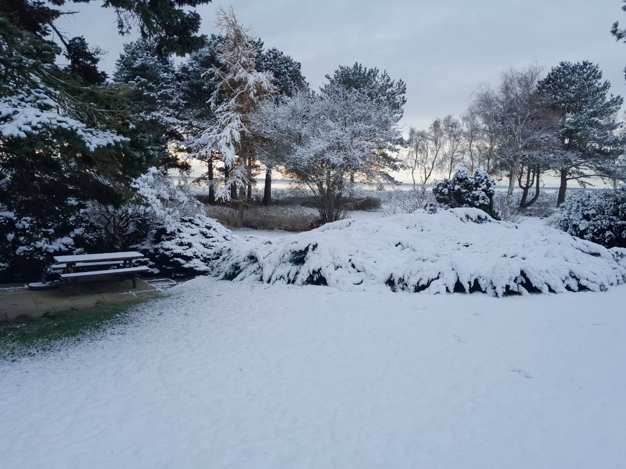 Overnatningsstedets område