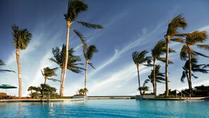Ein Pool, umgeben von Palmen und wolkenlosem Himmel.