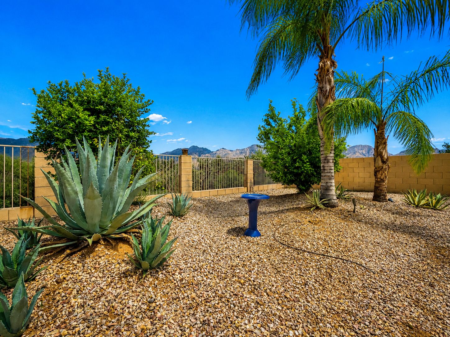 A landscaped garden with a variety of plants, a decorative blue fountain, and a view of mountains in the background.