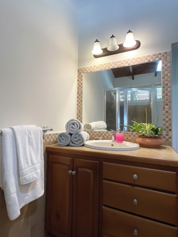 A bathroom with a vanity, a mirror, a towel rack, a sink, and a potted plant.