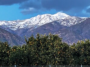 A mountainous landscape with snow-capped peaks and a foreground of trees bearing fruit. - Libby Rock 'n' Roll Room walk to the bowl. Decorated in family rock memorabilia (Ojai)