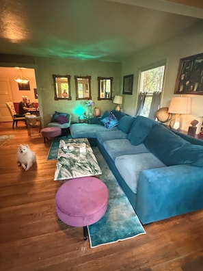 Ein Wohnzimmer mit einem blauen Sofa, einem Couchtisch und einem Hund.
