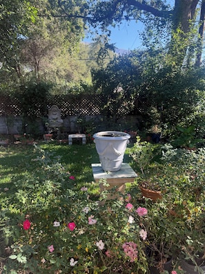 Ein Garten mit einem großen Pflanzgefäß, einer Steinsitzbank und einer Zierwand.
