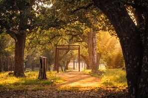 A pathway leading through a park with a wooden archway, surrounded by trees and grass. - Private 10-Acre Estate · Heated Pool · Sleeps 24 (Fredricksburg)