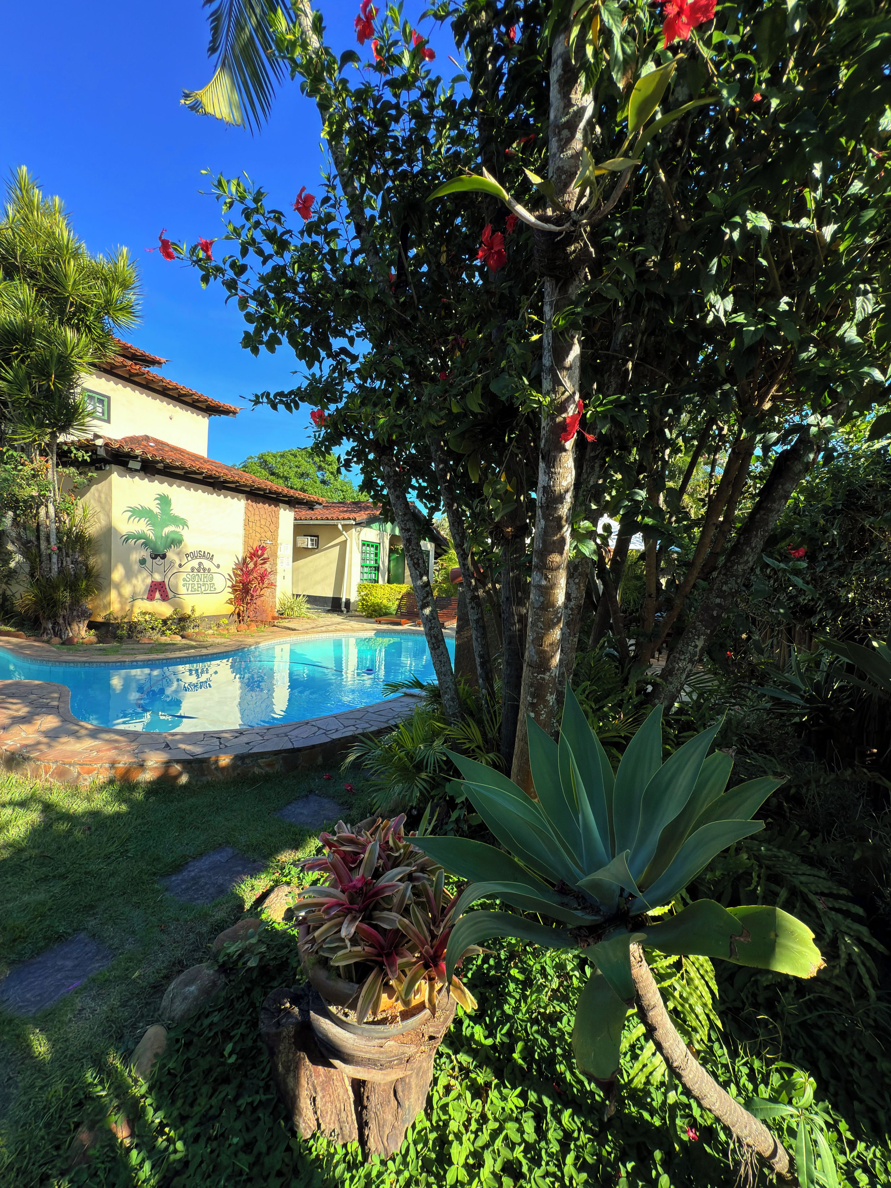 A pool surrounded by lush greenery and a building with a tiled roof.