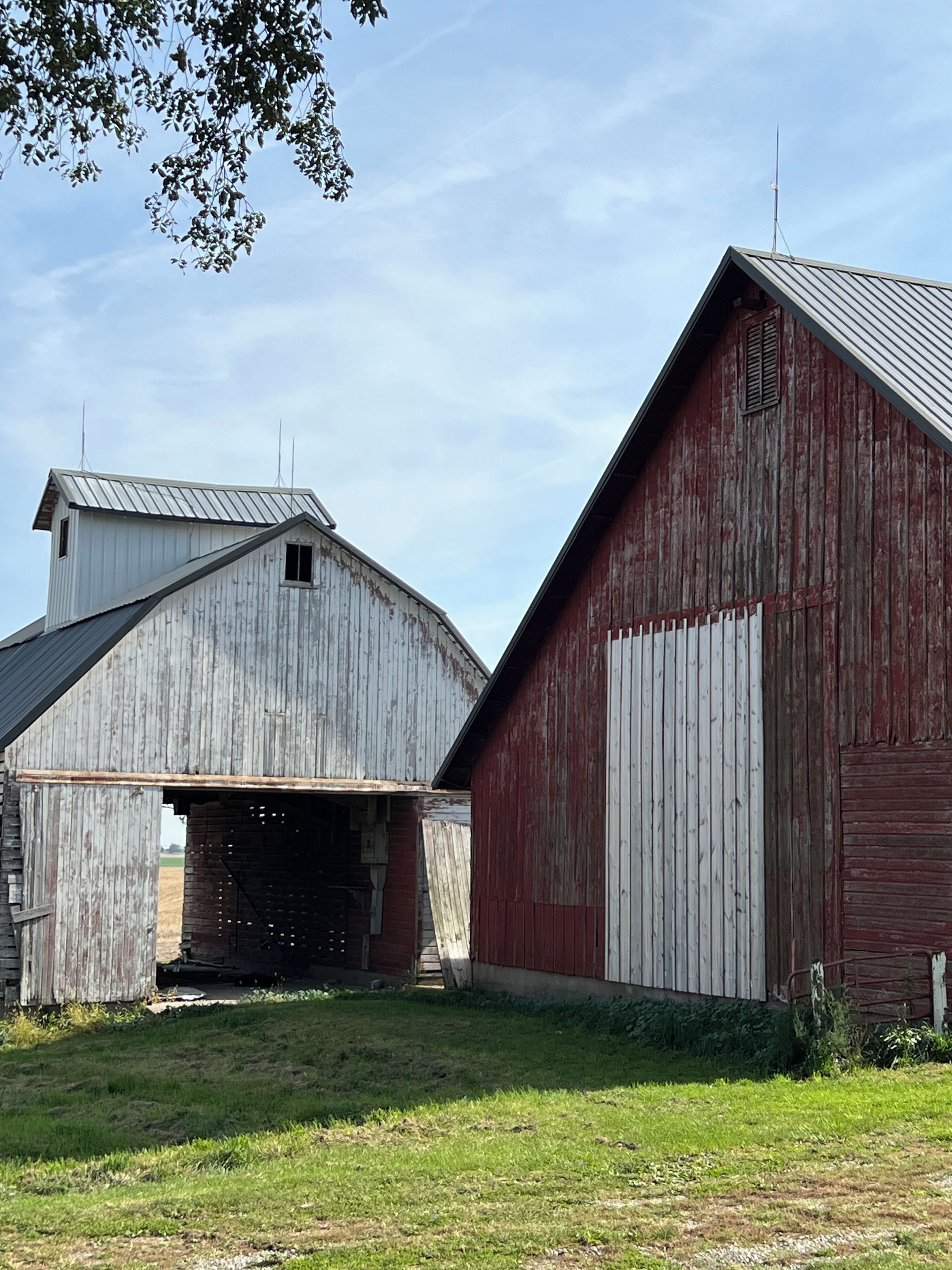 A rural barn complex with a large red barn and a smaller white barn.