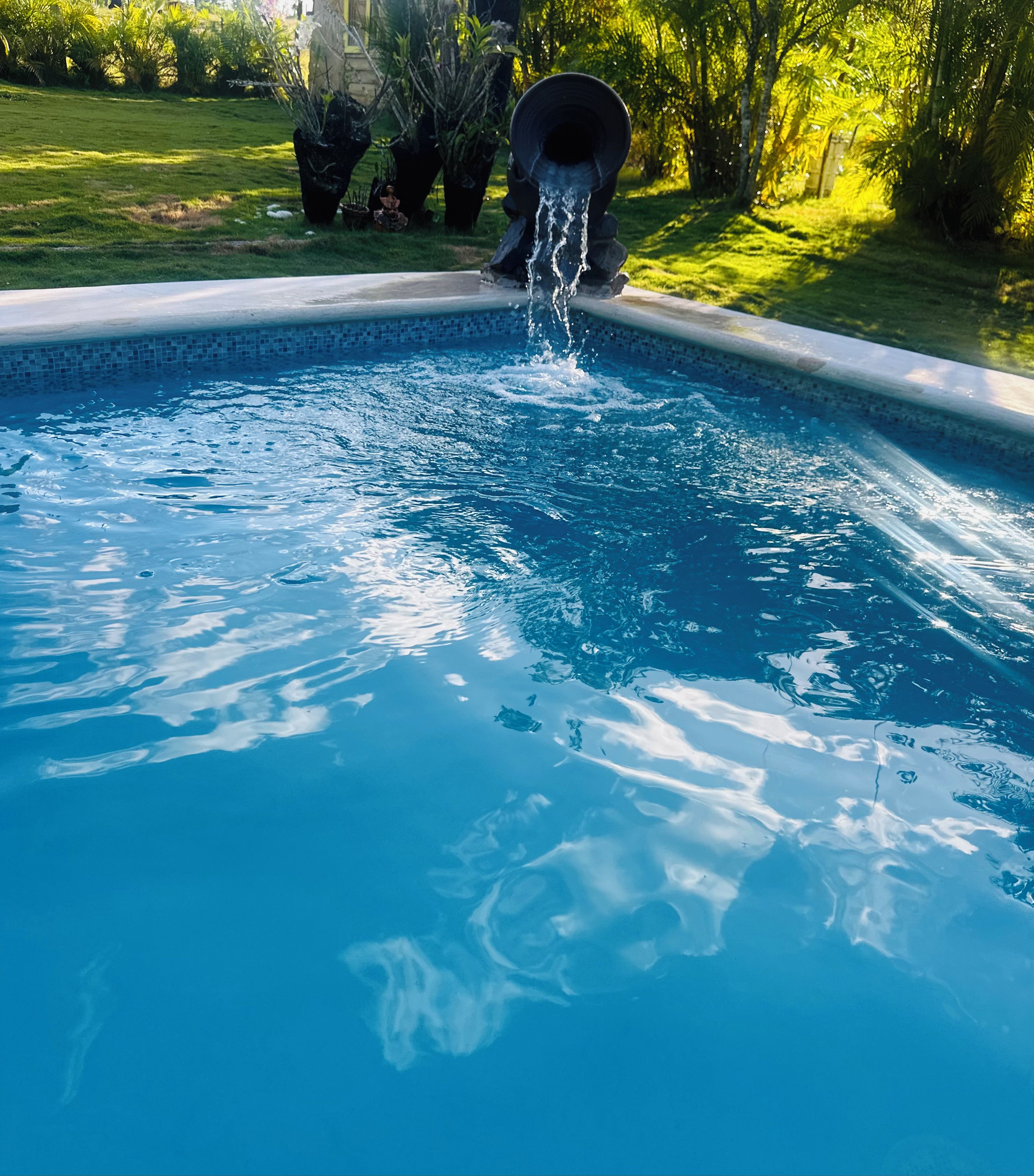 A swimming pool with clear blue water, surrounded by a grassy area and trees.