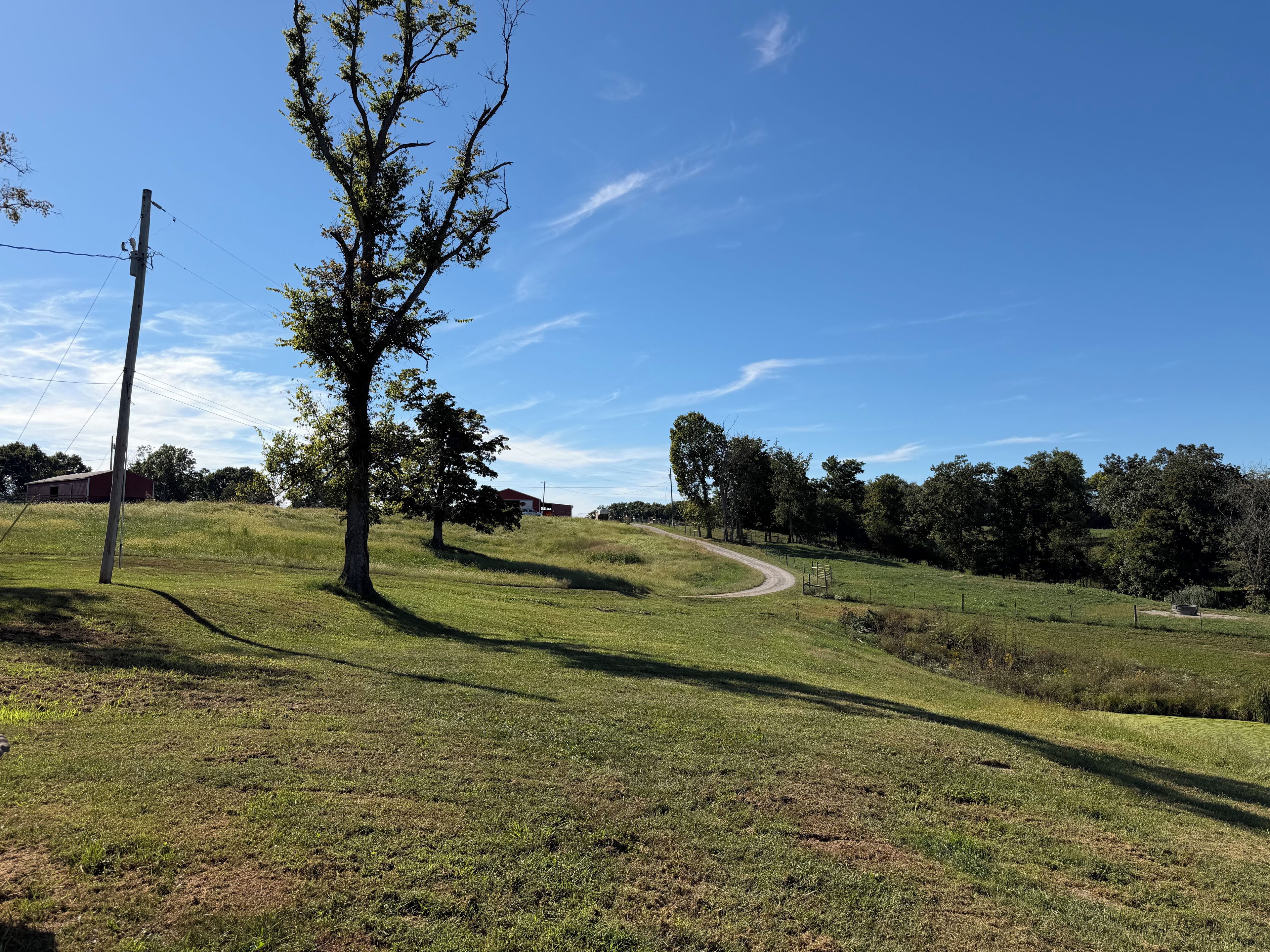 A rural landscape with a winding dirt road, a large tree, and a distant red building.