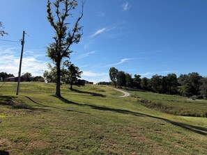 A rural landscape with a winding dirt road, a large tree, and a distant red building.