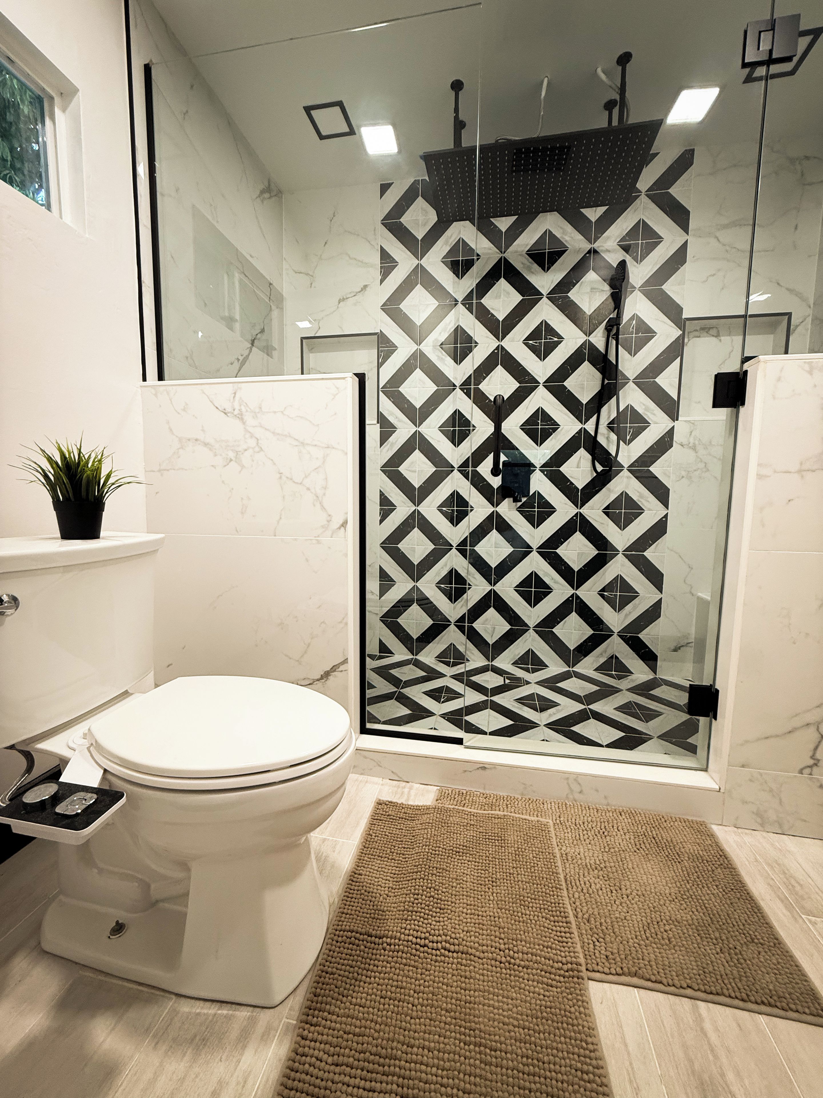 Une salle de bain avec des toilettes, un espace douche avec des carreaux à motifs, une plante en pot et un tapis texturé.