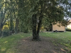 A tree in a yard with a shed in the background. - The Echo of the Rut - BOUZANCOURT (BOUZANCOURT)