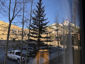 Blick auf einen Parkplatz mit Autos, Bäumen und einem Berg im Hintergrund.