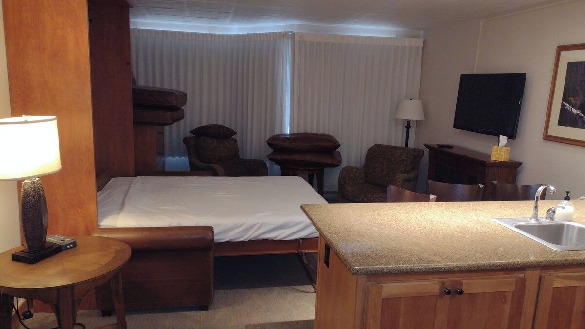 Une chambre d’hôtel comprenant un lit, un petit bureau, une chaise, un canapé, une télévision et une kitchenette avec un évier.