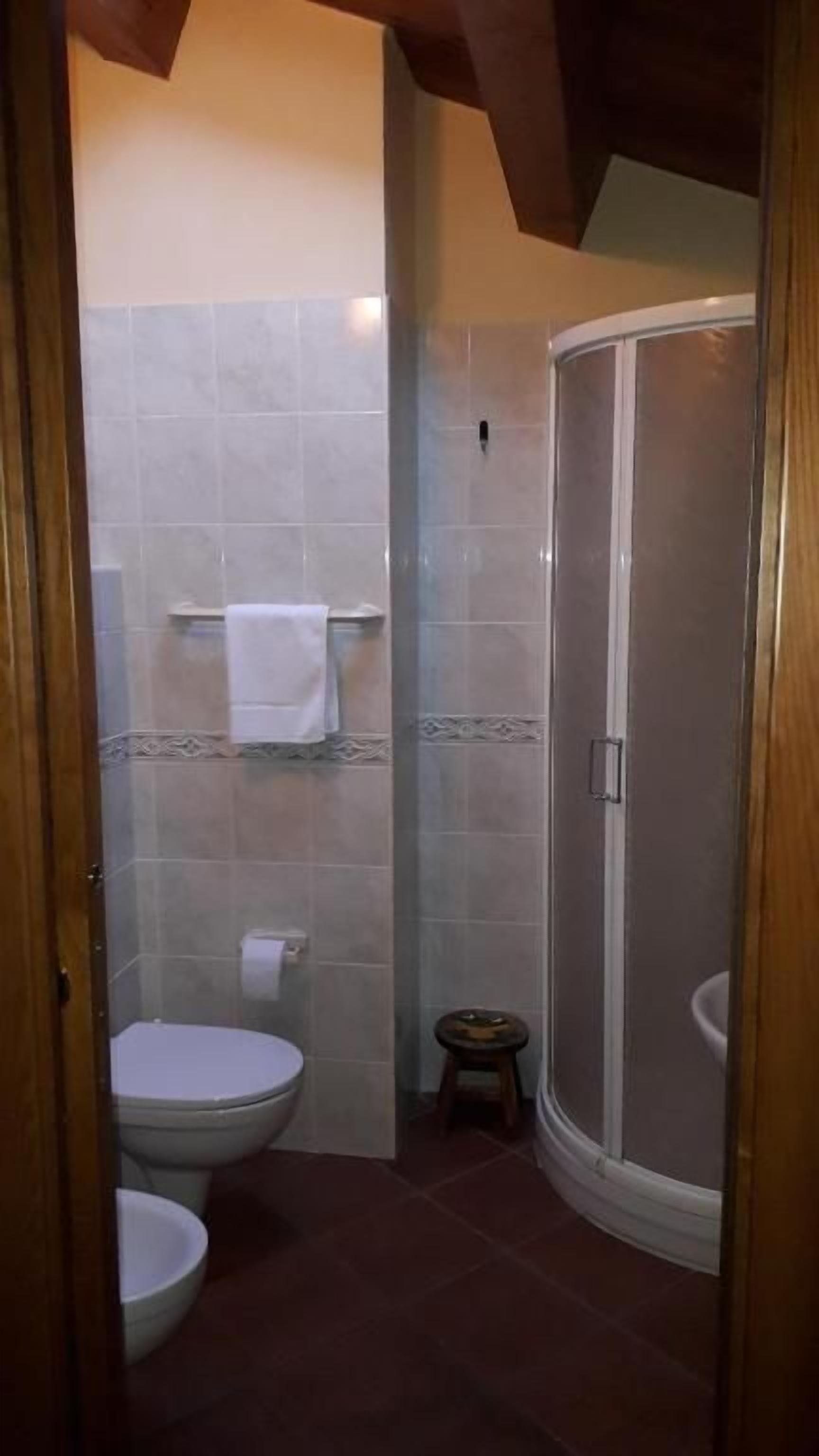 A bathroom with a toilet, a sink, and a shower stall.