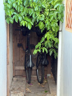 Una bicicleta assegurada sota una planta frondosa, amb una porta de fusta i una reixa de metall al fons.