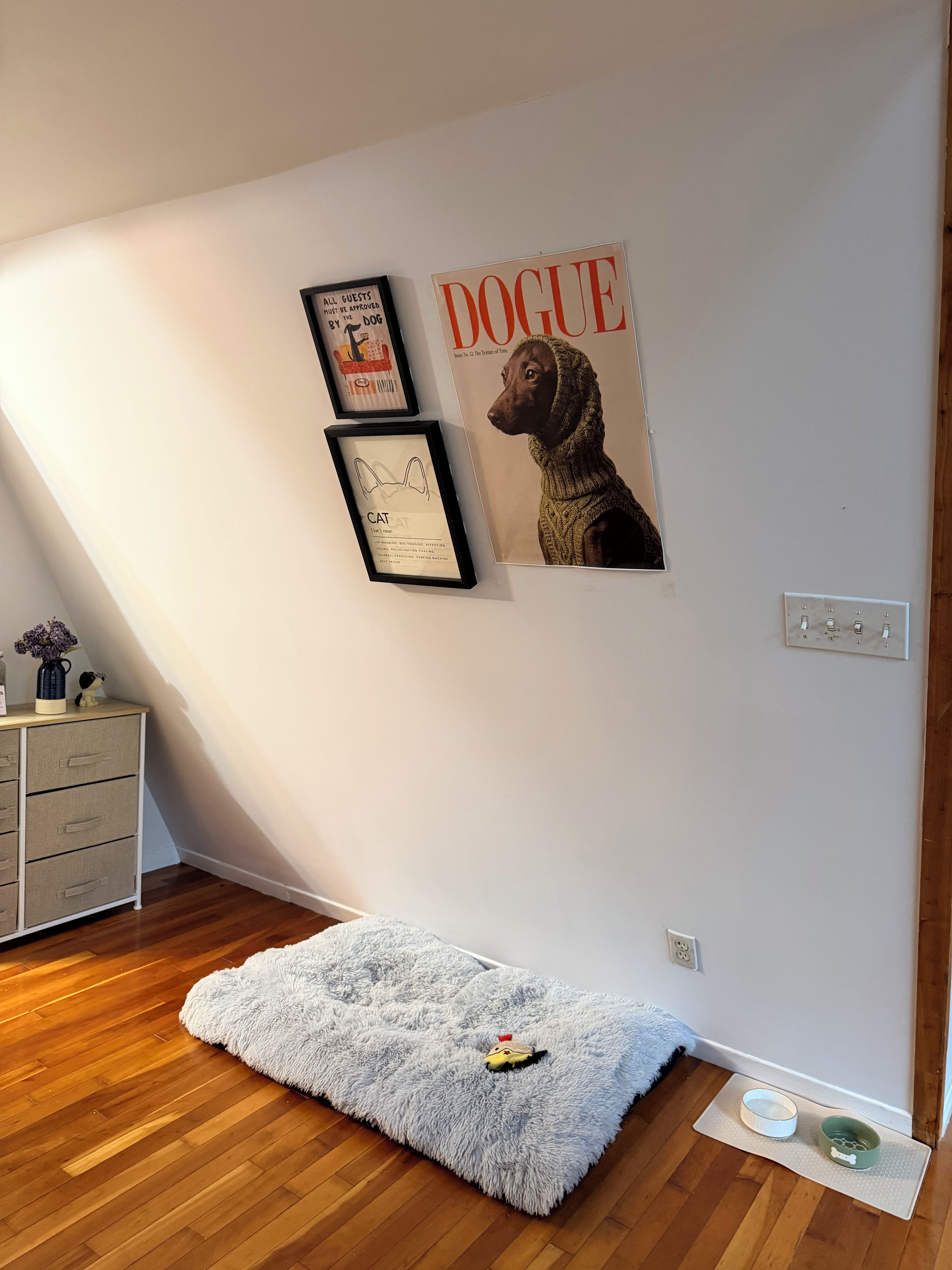 Una habitación con piso de madera, pared blanca y un cuadro enmarcado de un perro.