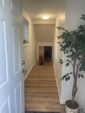 A hallway with a wooden floor, white walls, a ceiling light, and a potted plant.
