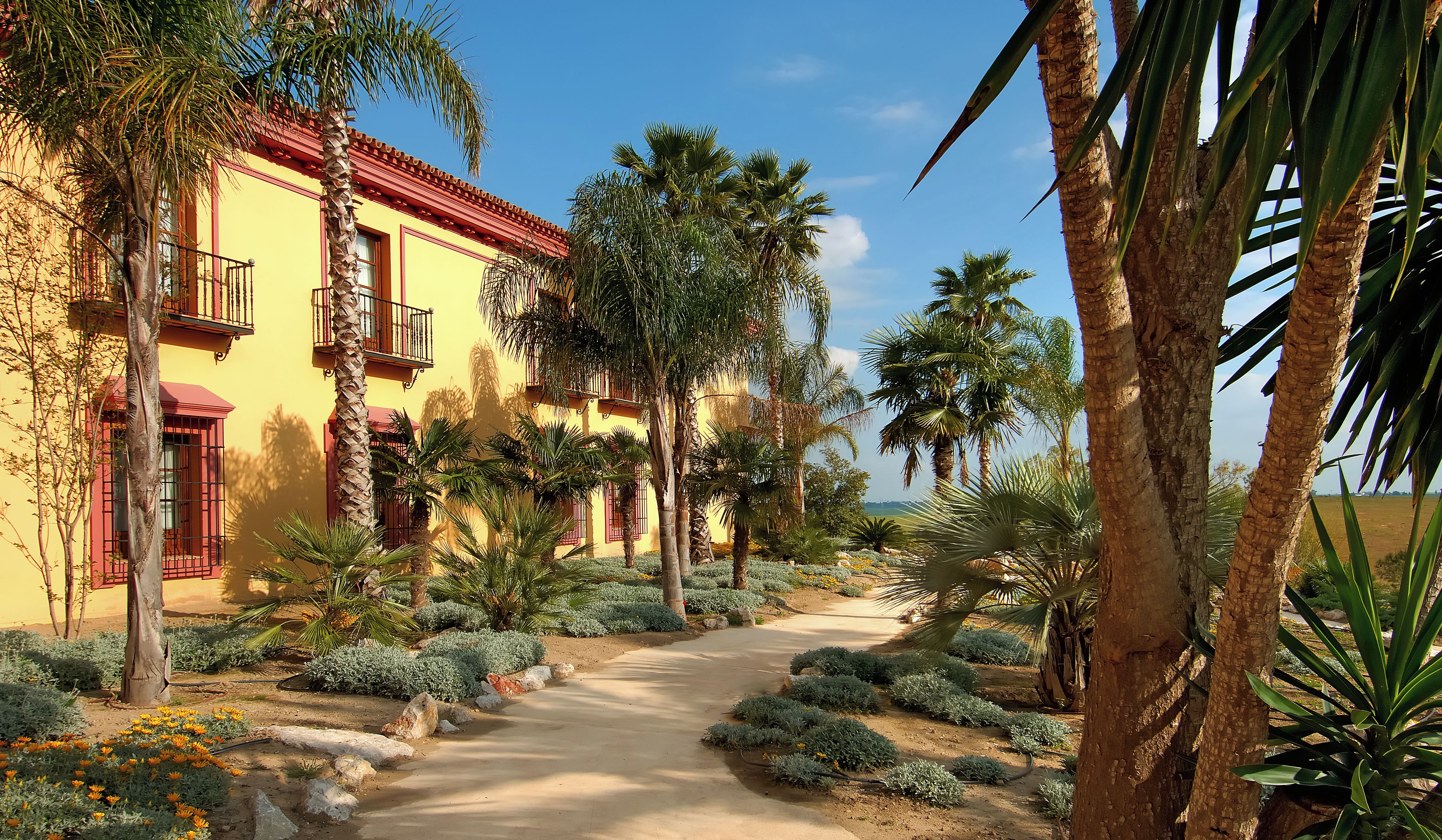 A pathway leading to a yellow building with balconies, surrounded by palm trees and a garden with various plants.