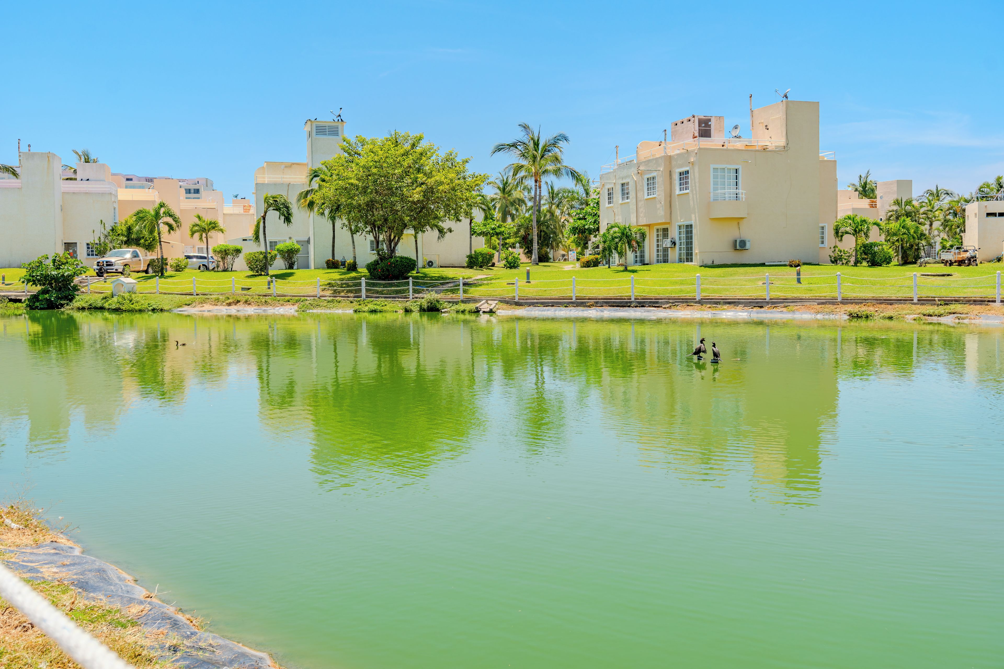 Zona residencial con un estanque tranquilo, rodeada de edificios y vegetación.