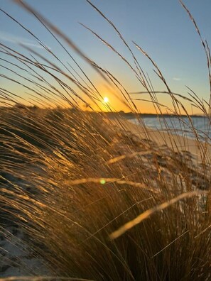 A beach scene with tall grasses in the foreground and a sunset in the background. - Proms Edge - Coastal Banksia Villa (Yanakie)