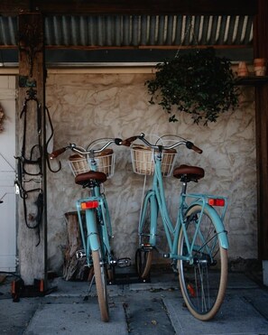 Two bicycles parked outside a building with a stone wall and a hanging plant.