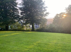 Eine Wiese mit Bäumen und einem Gebäude im Hintergrund.